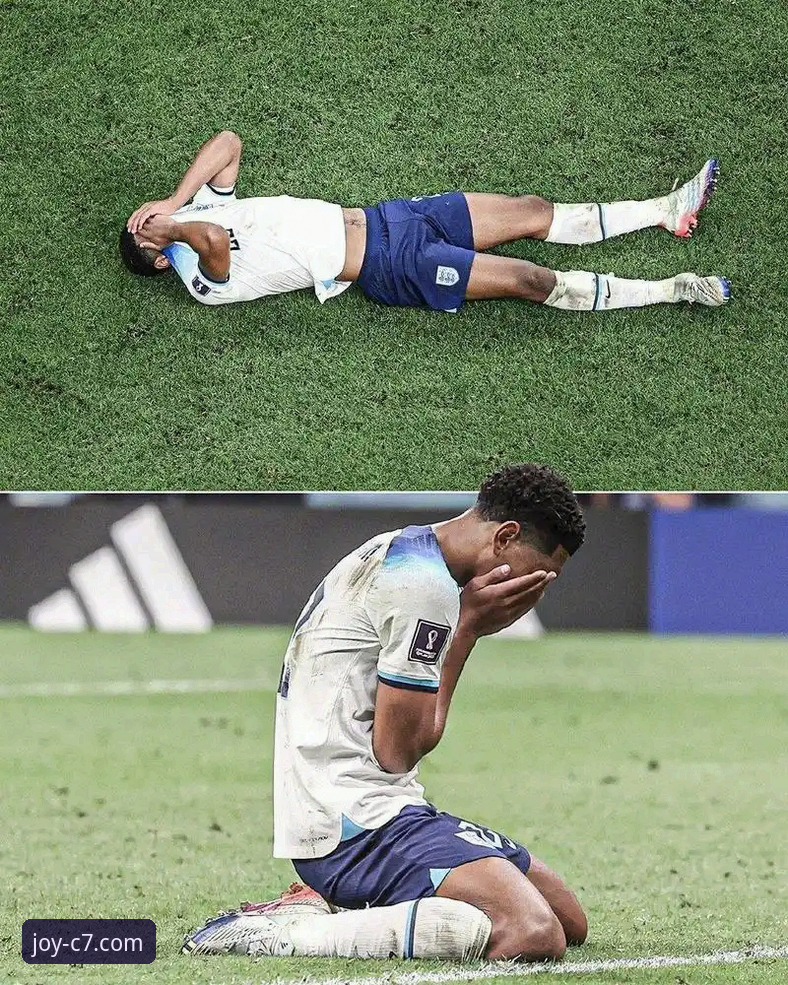 波兰队世界杯梦碎之夜：从希维德尔斯基的遗憾中读懂足球残酷性